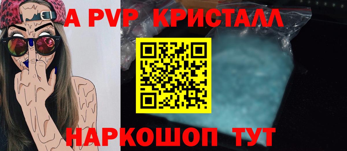 Альфа ПВП СК КРИС Аргун