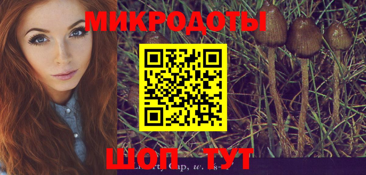 Аргун  где продают   Вход с VPN  Псилоцибиновые грибы Cubensis 